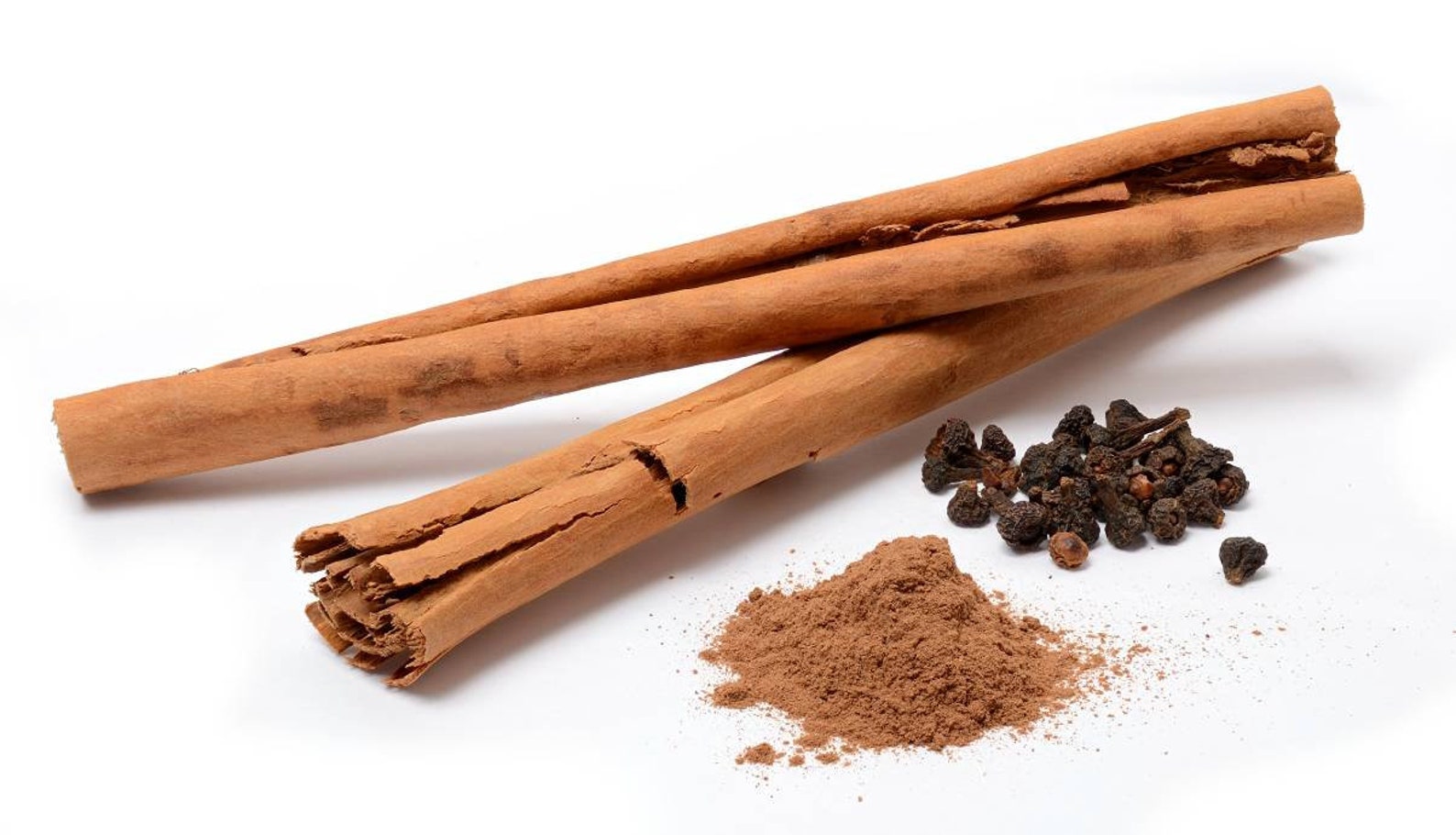 Ceylon Cinnamon seeds Cinnamomum verum seeds organic seeds Etsy