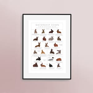 Stampa di coniglio di Watership Down / "Breve guida ai personaggi" / Opera d'arte disegnata a mano / Pasqua / Decorazione per la casa / Arte da parete / Richard Adams