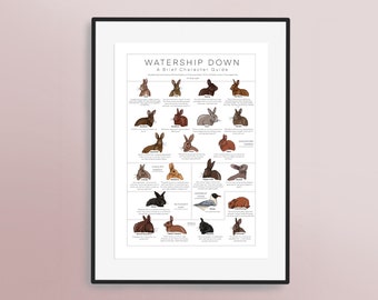 Watership Down Rabbit Print | &quot;A Brief Character Guide&quot; | Hand Drawn Artwork | Easter | Home Decor | Wall Book Art | Richard Adams