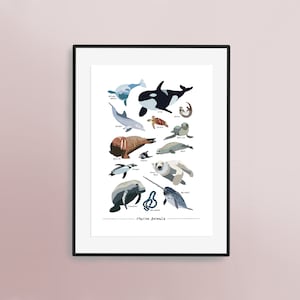 Guida agli animali marini - Stampa artistica illustrata a mano / Tartaruga, Balena, Orca, Lontra, Leone marino, Tricheco, Pulcinella di mare, Foca, Pinguino, Serpente di mare, Delfino