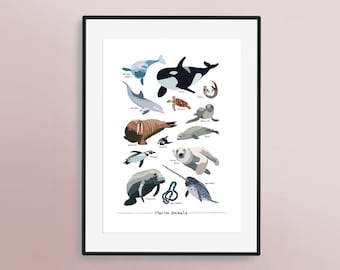 A Guide to Marine Animals - Hand Illustrated Art Print | Turtle Whale Orca Otter Sea Lion Walrus Puffin Seal Penguin Sea Snake Dolphin