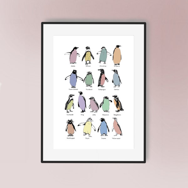 A Guide to Penguins - Hand Illustrated Art Print | Penguin Lovers Artwork  | Emperor Penguin Poster | Fun | Nursery Artwork | Childrens Art