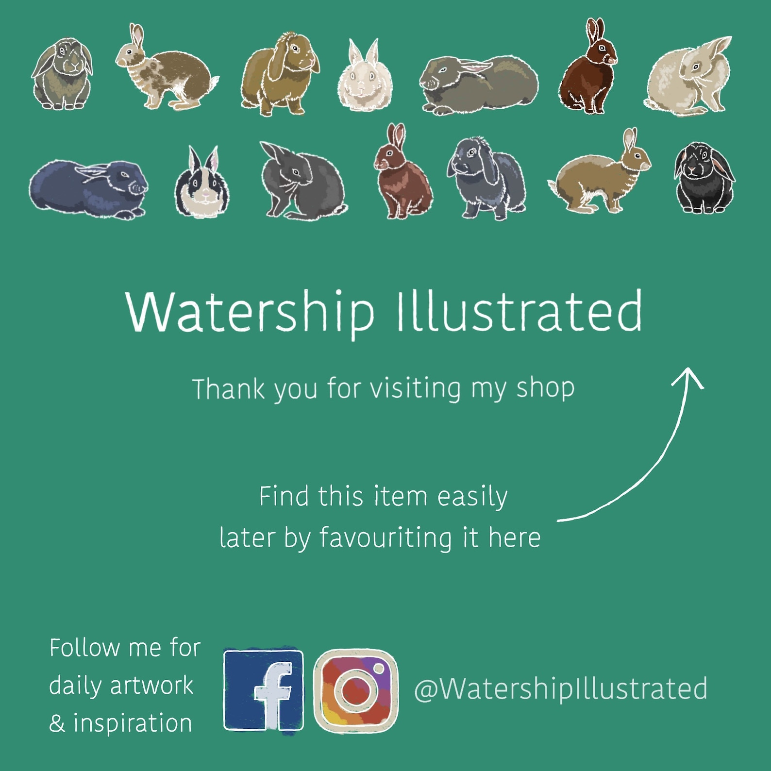 A Guide to Seals Hand Illustrated Art Print Seal Lovers Artwork Harbour