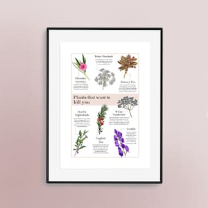 Plants That Want To Kill You Hand Drawn Print - Wall Art | Artwork | Print | Botanical | Plants | Gift | Deadly Dangerous Poisonous Plants