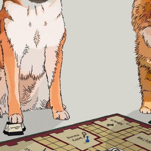 May include: An illustration of two pets playing a board game. A Shiba Inu dog and a fluffy orange cat are positioned on either side of the game board. The board game is a detective game with rooms like "Dining Room" and "Ballroom".
