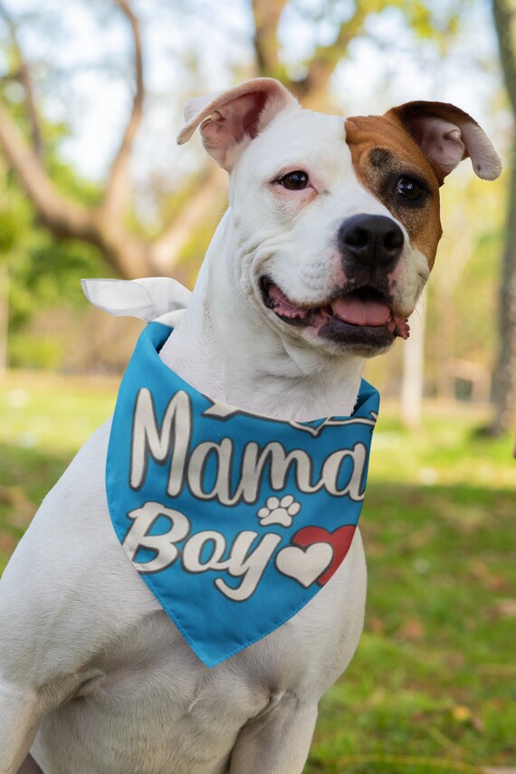 Mama's boy dog clearance bandana