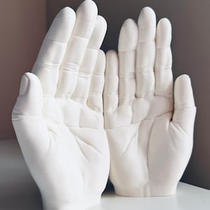 Puede incluir: Dos esculturas de manos de yeso blanco, una ligeramente más pequeña que la otra, se exhiben sobre una superficie blanca. Las manos están abiertas, con las palmas hacia adelante, y parecen ser un molde de manos reales. El fondo es de color neutro.