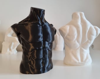 Male body torso plastic fitness sculpture / men bust / man 6pack art / decor object / tabletop desk buddy