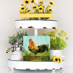 COLORFUL CHICKEN / Mini Canvas / Tiered Tray / Home Decor / Wrapped Canvas /rooster
