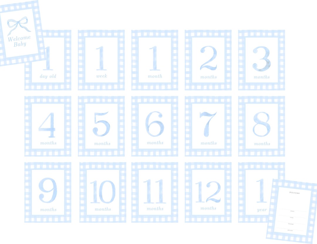 Baby Blue Monthly Milestone Cards | Gingham Watercolor | Classic Baby ...