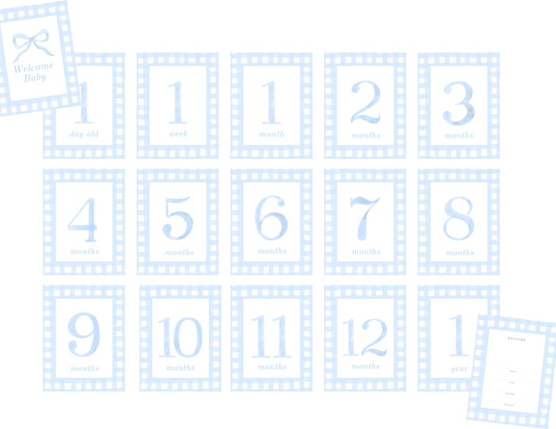 Baby Blue Monthly Milestone Cards | Gingham Watercolor | Classic Baby ...