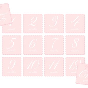 Cartes d'étape rose avec pétoncles bébé fille | Cartes carrées mois par mois | Téléchargement instantané