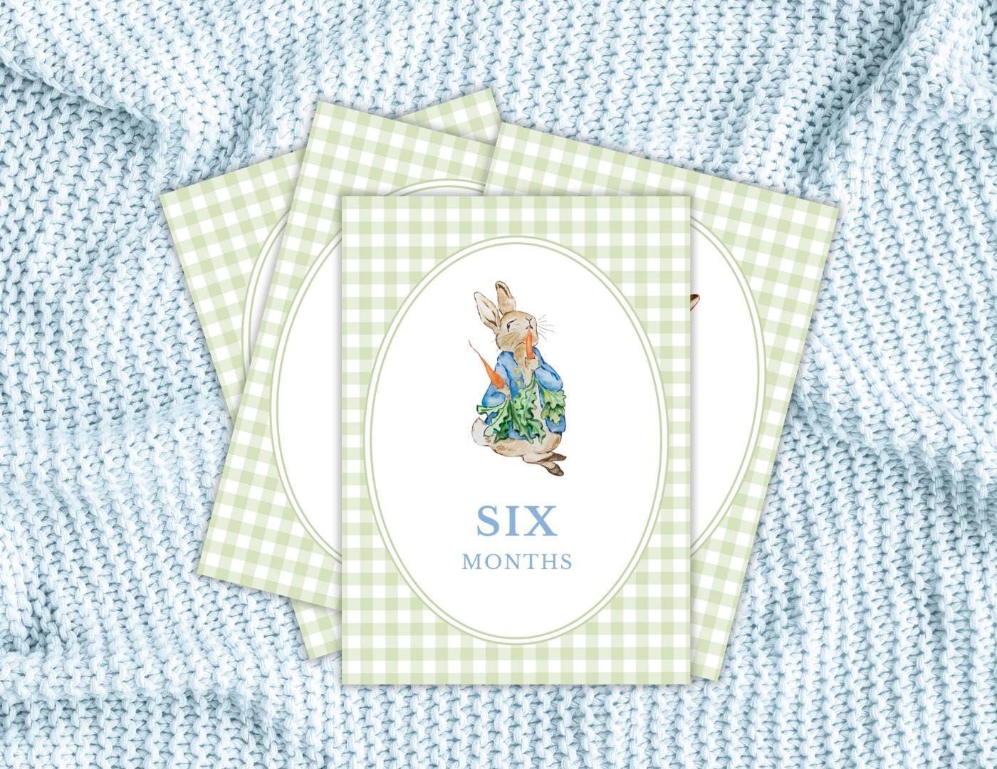 Beatrix Potter Monthly Milestone Cards | Sage Green Gingham | Classic ...