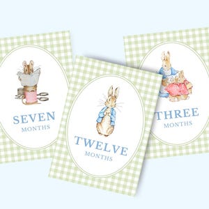 Cartões de marco mensal Beatrix Potter | Gingham verde-sálvia | Decoração clássica para berçário de bebê | Download digital