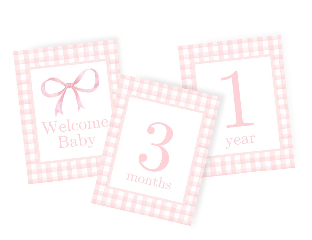 Pink Gingham Baby Monthly Milestone Cards | Set of 14 Instant Download ...