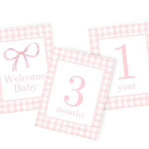 Cartes d'étape mensuelles pour bébé vichy rose | Lot de 14 téléchargements instantanés
