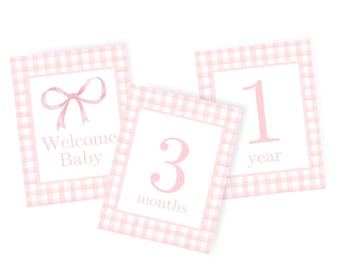 Pink Watercolor Monthly Milestone Card Set Baby Girl - Etsy
