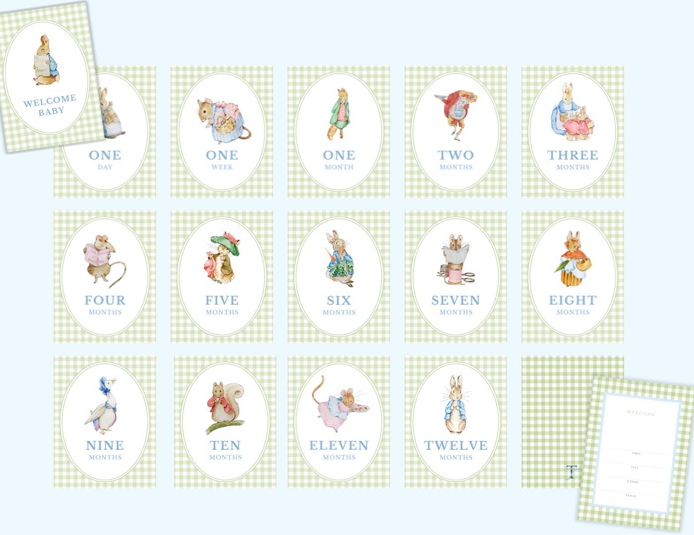 Beatrix Potter Monthly Milestone Cards | Sage Green Gingham | Classic ...