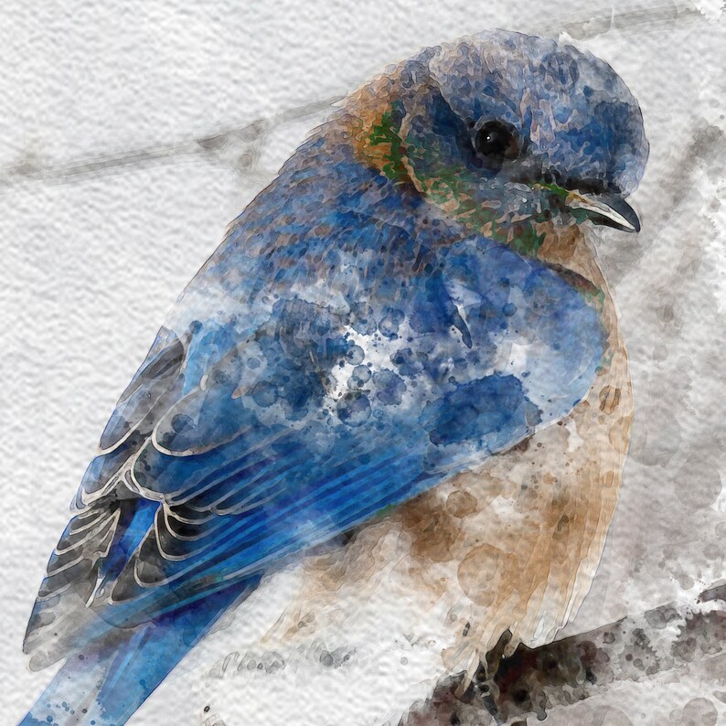 Instant Download Blue Bird and flowers Watercolor Wall Art Prints