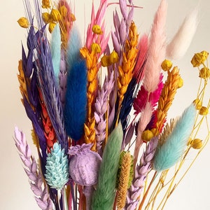 50 pcs Dried Grass, mix colors tails, Dried bunny Tails, Dried flowers bouquet, Dried Grass, Bunny Tail bouquet, Lagurus grass