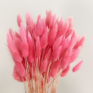 20 pcs Dried Lagurus, Light pink bunny tails, Dried bunny Tails, Dried flowers bouquet, Dried Grass, Bunny Tail bouquet, Lagurus grass