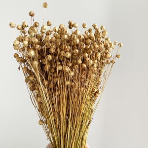 Dried Linum, Natural flax bunch, Dried canary grass, Dried flowers bouquet, Dried Grass, Linum bouquet