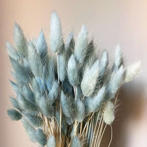 20 pcs Dried Lagurus, Light blue bunny tails, Dried bunny Tails, Dried flowers bouquet, Dried Grass, Bunny Tail bouquet, Lagurus grass