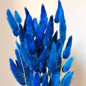 20 pcs Dried Lagurus, Dark blue bunny tails, Dried bunny Tails, Dried flowers bouquet, Dried Grass, Bunny Tail bouquet, Lagurus grass