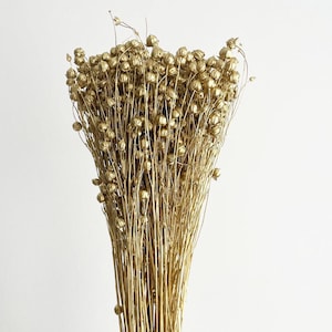 Dried Linum , Gold flax bunch, Dried canary grass, Dried flowers bouquet, Dried Grass, Linum bouquet