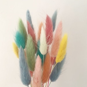 20 pcs Dried Lagurus, Pastel mix colors tails, Dried bunny Tails, Dried flowers bouquet, Dried Grass, Bunny Tail bouquet, Lagurus grass