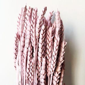 20 pcs Dried Wheat, Pastel Pink wheat, Dried flowers bouquet, Dried Grass, Wheat bouquet, Wheat grass