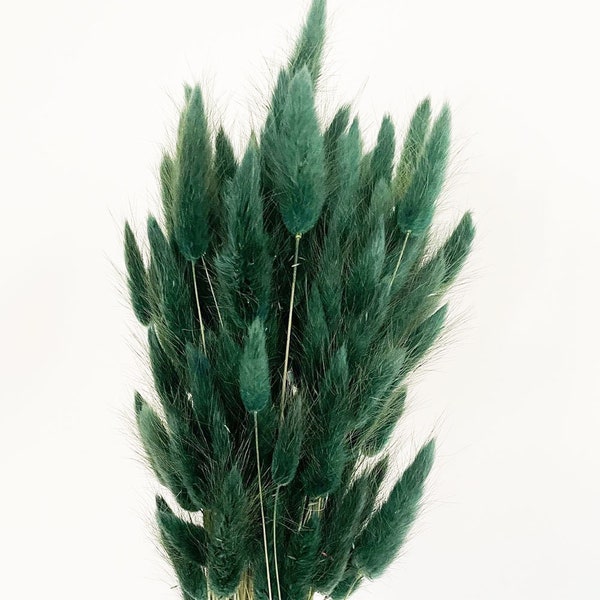 20 pcs Dried Lagurus, Emerald bunny tails, Dried bunny Tails, Dried flowers bouquet, Dried Grass, Bunny Tail bouquet, Lagurus grass