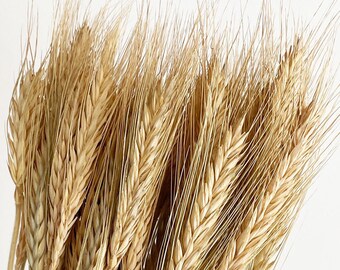Dried Wheat Bouquet Etsy