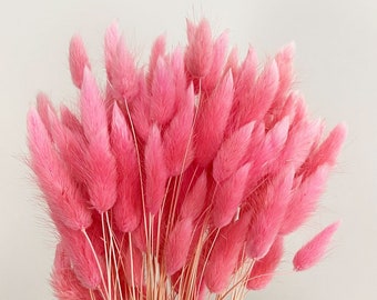 20 pcs Dried Lagurus, Light pink bunny tails, Dried bunny Tails, Dried flowers bouquet, Dried Grass, Bunny Tail bouquet, Lagurus grass