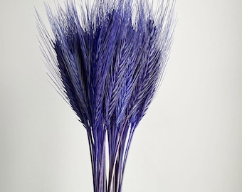 Puede incluir: Un ramo de trigo seco teñido de azul. Las espigas de trigo son largas, finas y puntiagudas, con tallos reunidos en la base. El fondo es liso, gris claro.