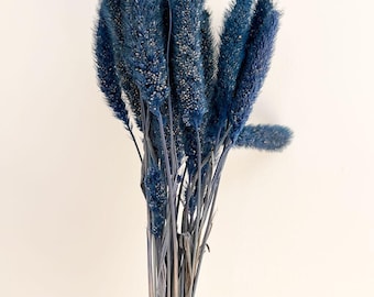 5個の乾燥セタリア、ネイビーの乾燥セタリアの天然束、乾燥花のブーケ、乾燥草、天然の揺れる草、ホームデコレーション