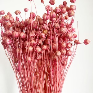 30 pcs Dried Linum , Light pink flax bunch, Dried linum grass, Dried flowers bouquet, Dried Grass, Linum bouquet