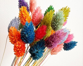 50 piezas de hierba canaria seca, arreglo floral rústico seco para decoración del hogar bohemia, bodas, manualidades, ramo de flores secas