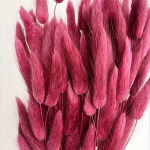 20 pcs Dried Lagurus, Claret bunny tails, Dried bunny Tails, Dried flowers bouquet, Dried Grass, Bunny Tail bouquet, Lagurus grass