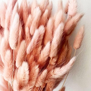 20 pcs Dried Lagurus, Pastel Pink bunny tails, Dried bunny Tails, Dried flowers bouquet, Dried Grass, Bunny Tail bouquet, Lagurus grass