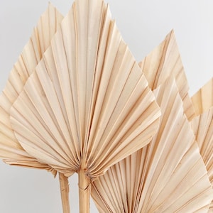 Lança de palmeira seca, Folha seca, Decoração para casa, Lanças de palmeira seca, Topo de bolo