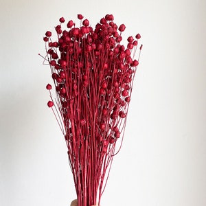 30 pcs Dried Linum, Red flax bunch, Dried canary grass, Dried flowers bouquet, Dried Grass, Linum bouquet