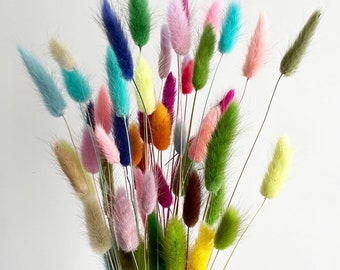 50 pcs Dried Lagurus, mix colors tails, Dried bunny Tails, Dried flowers bouquet, Dried Grass, Bunny Tail bouquet, Lagurus grass