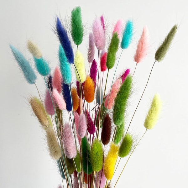 50 pcs Dried Lagurus, mix colors tails, Dried bunny Tails, Dried flowers bouquet, Dried Grass, Bunny Tail bouquet, Lagurus grass
