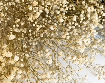 Preserved White Dried Gypsophila, Baby's Breath Flowers, Dried flowers, Dried flowers bouquet, Dried Grass, White dried flowers