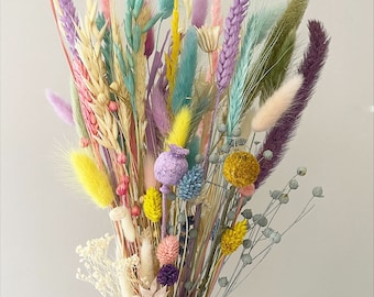 Dried Grass, Pastel mix colors tails, Dried bunny Tails, Dried flowers bouquet, Dried Grass, Bunny Tail bouquet, Lagurus grass