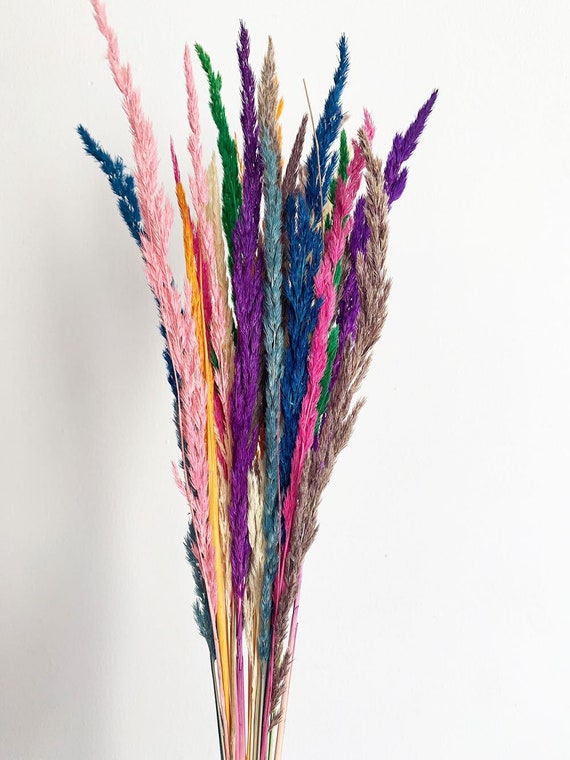 10 Stück Getrocknetes Gras, Mix-Gras, Trockenblumen-Bouquet, Getrocknetes Gras, Flauschiges Gras, Pampas-Trockengras
