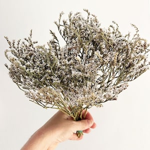 May include: A bouquet of dried flowers with small white blooms and green stems. The flowers are held together with a green twist tie. The background is a plain white.