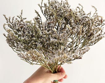 Flores secas de estátice, ramo de lavanda marina, flores secas, ramo de flores secas, hierba seca, ramo de estátice alemán, flores blancas secas