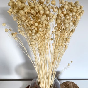 Dried Linum ,White flax bunch, Dried canary grass, Dried flowers bouquet, Dried Grass, Linum bouquet